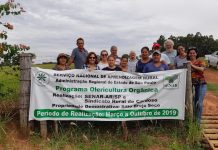 Produtos orgânicos podem ficar mais baratos
