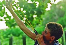 1º Campeonato de Estilingue em prol da Santa Casa será neste domingo