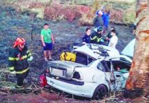 Homem morre após bater carro em árvore às margens de rodovia de Votuporanga