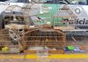 Pedreiro é multado por manter aves em cativeiro em Votuporanga