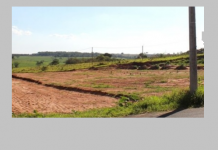 Empresário de Fernandópolis comprou 40 lotes da Santa Casa a preço de ‘banana’, informa site Região Noroeste