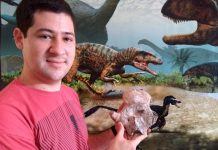 Vértebra de dinossauro é encontrada em Uchoa