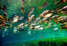 Último capítulo sem surpresas