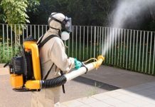 Votuporanga tem 591 casos confirmados de dengue