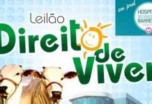 Vem aí a 9ª edição do Leilão Direito de Viver