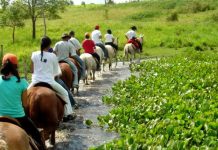 Cultura organiza discussão sobre Turismo Rural
