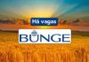 Bunge: Multinacional de agronegócio e alimentos está com vagas abertas