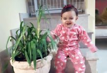 Santa Casa entrega mudas para recém-nascidos há 10 anos