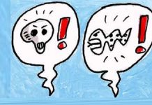 Opinião politica: “Tenham modos, senhores!”