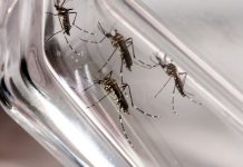 Votuporanga confirma três mortes por dengue