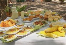 Eventos tradicionais da região são cancelados em virtude do surto de coronavírus