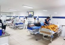 Dia do Rim é comemorado nesta quinta