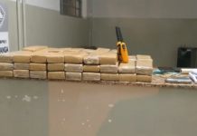 TRÁFICO – PM apreende mais de 30 quilos de maconha em Votuporanga
