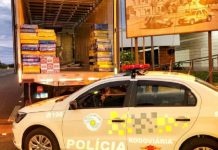 Polícia Rodoviária apreende mais de uma tonelada de maconha