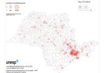 Estudo da Unesp aponta Votuporanga entre cidades do interior de SP com maior risco de difusão da Covid-19
