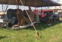 Integrantes de Circo paralisado em Votuporanga dependem de doações