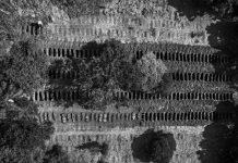 CORONAVÍRUS – Modelo usado pela Casa Branca eleva para 125 mil projeção de mortes por Covid-19 no Brasil até agosto