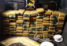 Baep apreende 77 tijolos de maconha em Rio Preto