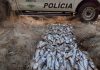 Ambiental de Votuporanga flagra e autua dupla por pesca irregular em Riolândia