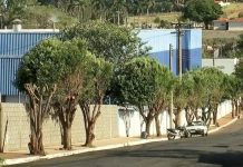 Frigoestrela realiza testes de Covid-19 em funcionários após recomendações do MPF