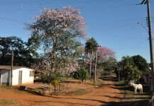 Saev Ambiental abre licitação para execução da ETE na Vila Carvalho