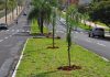 Iluminação da Avenida do Assary recebe pontos de led