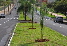 Iluminação da Avenida do Assary recebe pontos de led