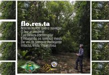 Polícia Militar do Estado realiza operações de prevenção de ataque às florestas