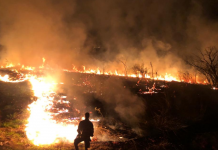 Incêndio atinge área no entorno da represa da SAEV