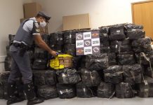 Polícia apreende uma 1.5 ton. de maconha escondida em carga de milho