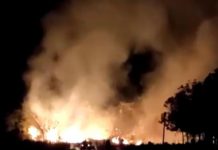 Incêndio destrói bambuzal na entrada da prainha de Mira Estrela