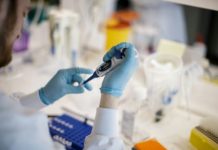 A corrida mundial pela descoberta da vacina para a Covid 19