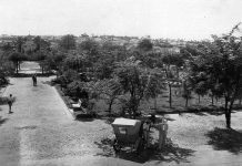 VOTUPORANGA ANTIGA – O primeiro jardim de Votuporanga e a sua história