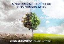 Conscientização no dia da Árvore