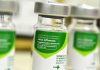 Campanha de Vacinação contra Influenza no Município é prorrogada até 30 de setembro