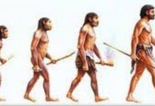 Da origem da linguagem às Fake News!