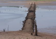 MEIO AMBIENTE – Seca faz nível de rio baixar e revela ponte ‘escondida’ há mais de 40 anos na região