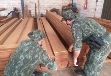 MEIO AMBIENTE – Madeireira é multada por vender madeira nativa sem documentação na região