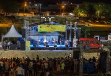 FLIV 2020 está confirmado em versão on-line