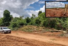 Propriedade rural é multada cortar árvores nativas em Estrela D’Oeste