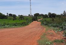 Serginho da Farmácia pede término da pavimentação da estrada Nélson Bolotário