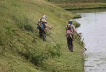 Prefeitura realiza Mutirão de Limpeza em avenidas, praças e áreas verdes