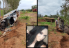 Capotamento mata jovem e deixa duas pessoas gravemente feridas em Votuporanga