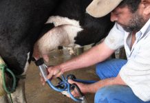 Revogação do decreto do ICMS em SP deixou leite e combustíveis de fora