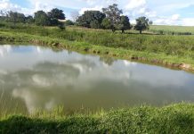 Polícia Ambiental de Votuporanga usa imagens de satélite, encontra e embarga represa irregular