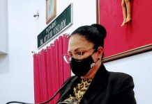 Vereadora Sueli Friósi quer prédios públicos municipais com sistema solar fotovoltaico