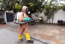 Secretaria da Saúde realiza Mutirão contra a Dengue aos sábados