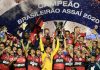Mesmo derrotado pelo São Paulo, Flamengo é campeão brasileiro
