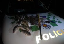 Pescadores são multados em mais de R$ 6 mil por pesca irregular nas proximidades de usina hidrelétrica