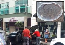 Cobra é capturada dentro de carro no centro de Votuporanga